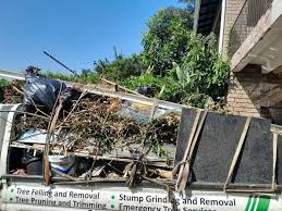 Best Yard Waste Removal  in Temple Terrace, FL